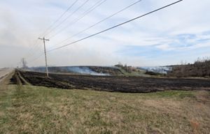 A field with a black, charred ground. 