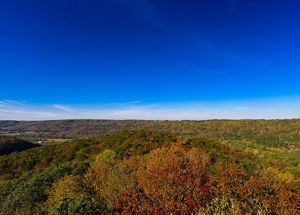 Brilliant red, orange and yellow fall foliage. 