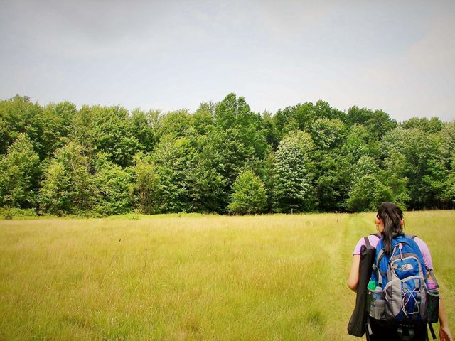 A hiker wearing a backpack along the trail, overlooking a field with the forest in the background.