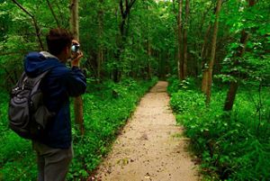 A person stands at the edge of a forested trail holding up a camera toward the rest of the trail. 