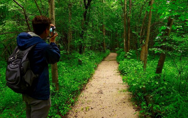 A person stands at the edge of a forested trail holding up a camera toward the rest of the trail. 