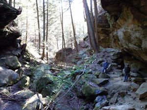Two men climbing on large rocks in a forest. 