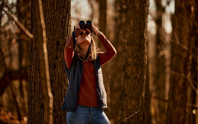 A woman hold binoculars to her eyes as she looks up into the trees in a fall forest. 