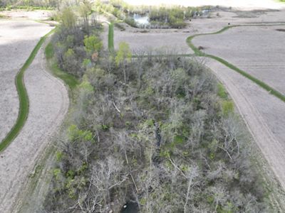 Wannemacher Reserve before OMP work showing a stream hidden by trees in a field.