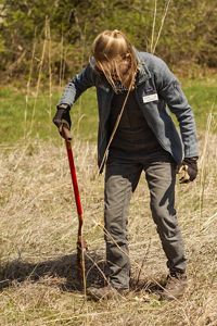 Woman gets ready to plant a tree in an open field.