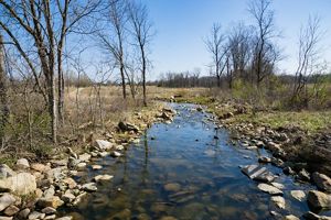 A stream with trees and an open field in the background.