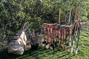 Saplings and other planting supplies at the community event in bags with trees behind.