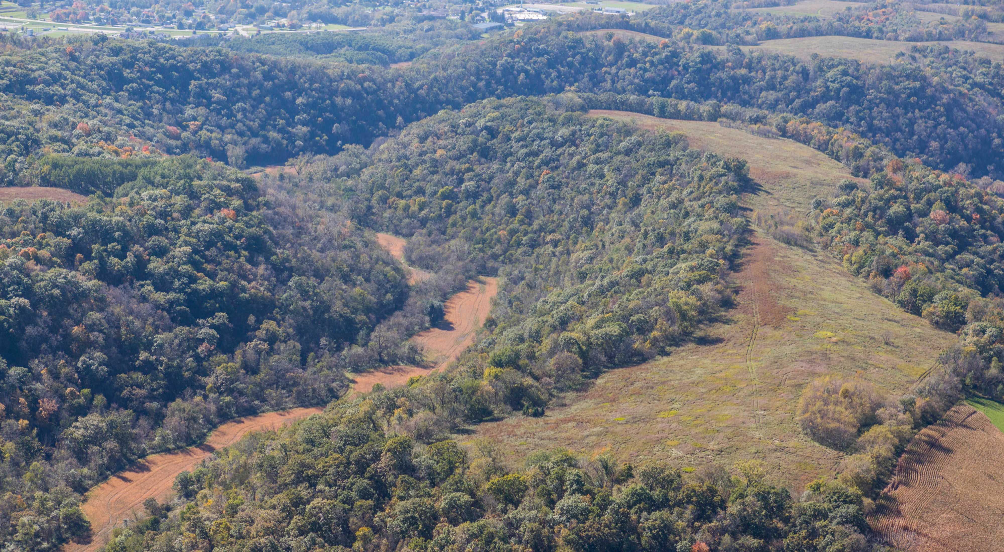 Aerial view of Rush Creek Woods WMA.