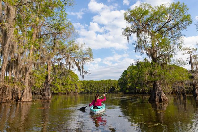 Fred and Loucille Dahmer Caddo Lake Preserve | TNC