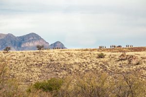 About a dozen firefighters line up along a tall hill covered with dry grasses.