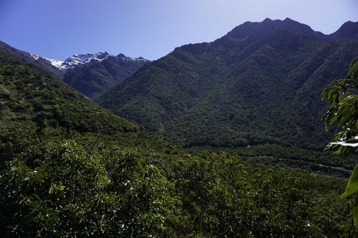 Vista del área protegida en Fundo Santa Rosa, Catemu