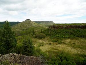 Landscape of three green mesas with evergreen trees on the left.