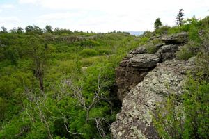 Looking above a lush tree canopy, with large rock outcroppings.