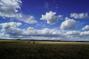 Two people walking away from the camera in vast grasslands.