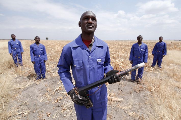 Group photo of Tanzania's crop protection team