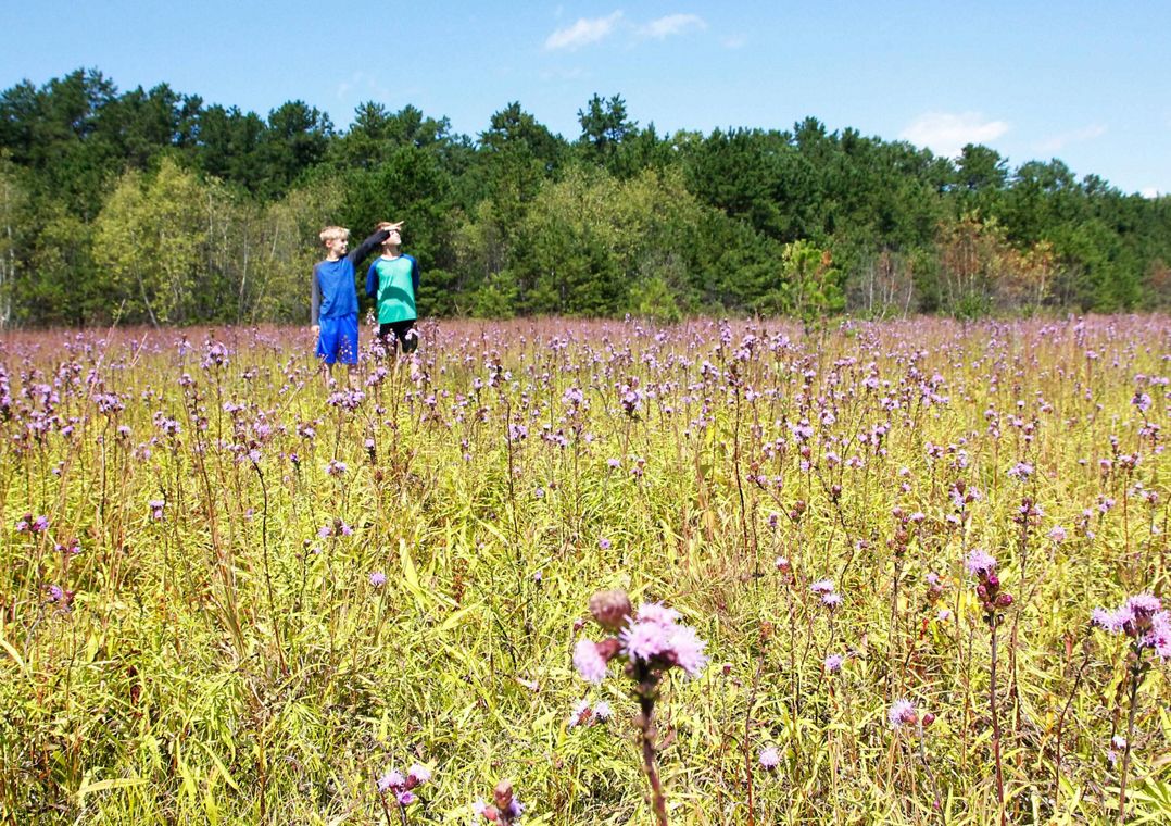 Two young people stand in a field of purple flowers.
