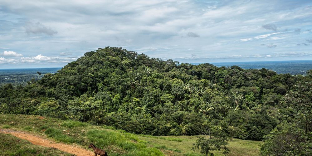 A tree covered hill rises up out of cleared farmland, with a view of flat land in the distance