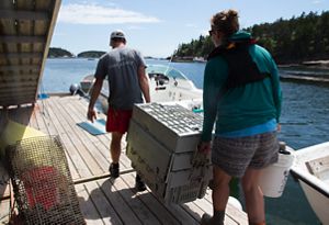 People carry bins of oysters and equipment across a dock in the bright sun.