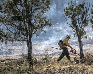 Firefighter walking through prescribed burn.