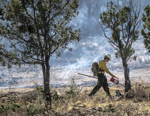 Firefighter walking through prescribed burn.