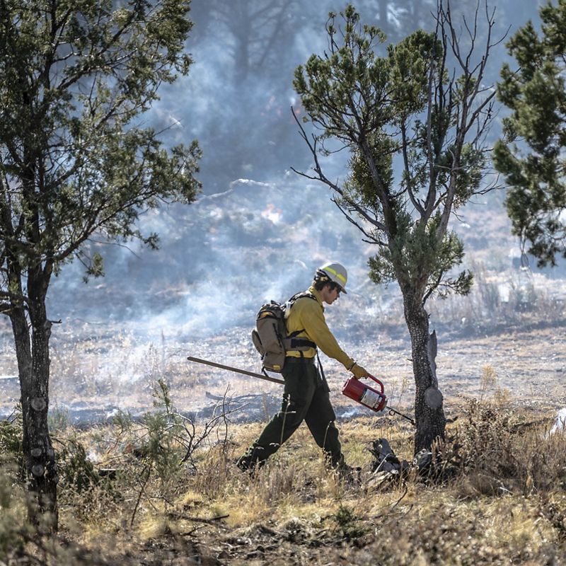 Person using drip torch.