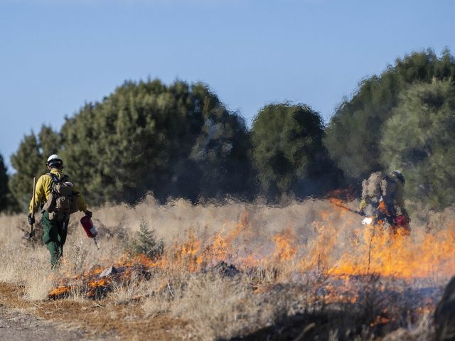 Two people setting fire in grasslands.