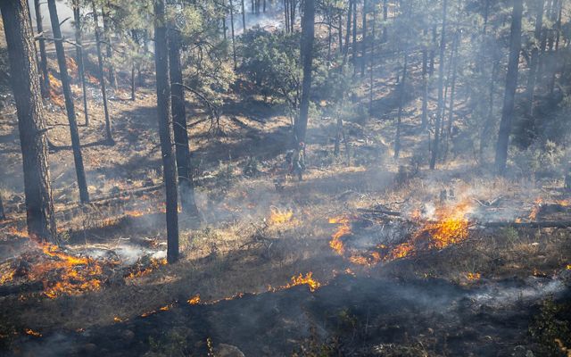 Person walking through controlled burn.