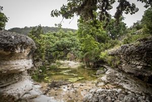 The languid waters of Love Creek lie still in a natural, round limestone pool against a backdrop of vibrant green trees, brush, and more stacked limestone features.