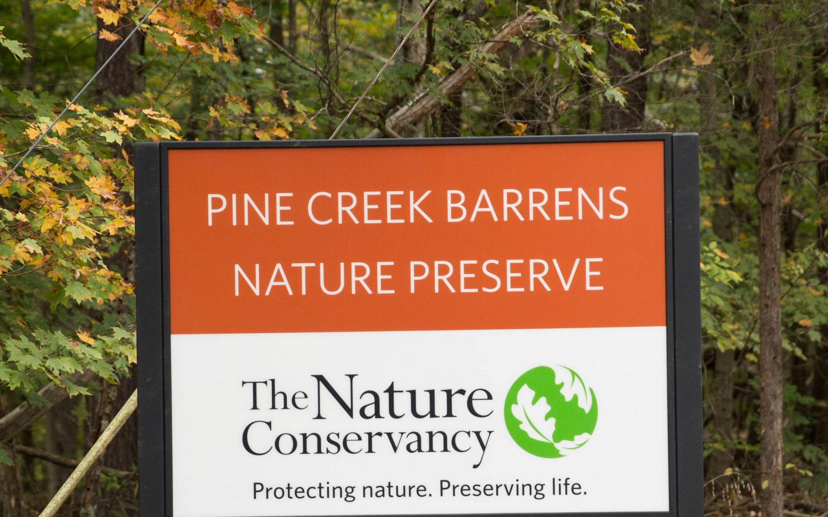 Nature Preserve Sign Pine Creek Barrens Nature Preserve is located on Pine Creek Trail near Shepherdsville, Kentucky, only a 40-minute drive from Louisville. © Mike Wilkinson
