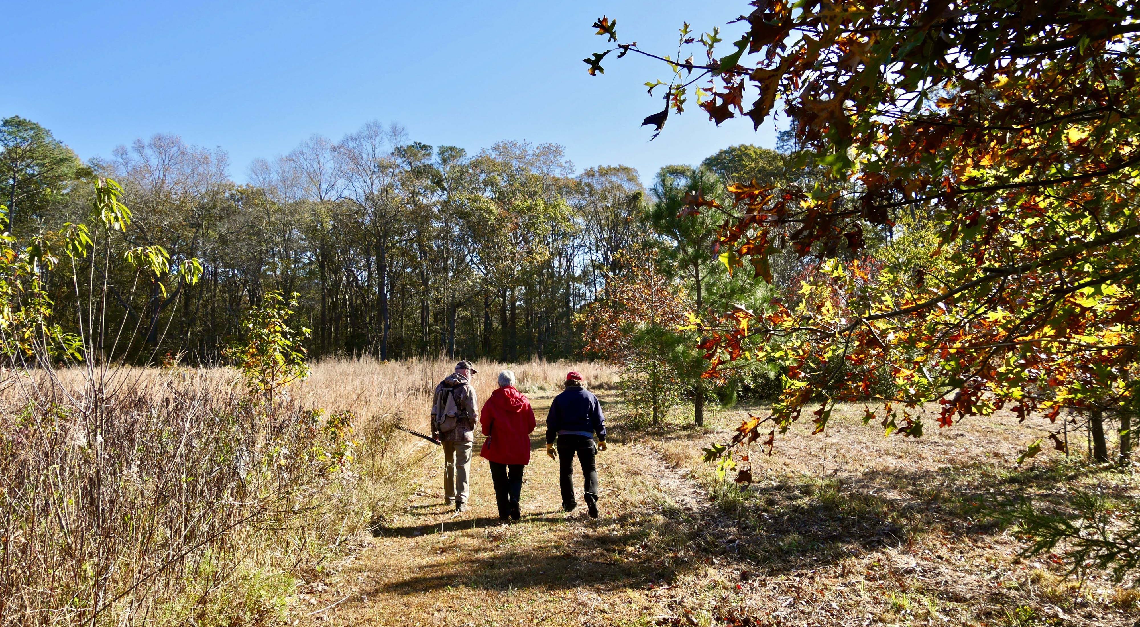 Three people walk on a wide trail. It stretches before them, curving out of sight behind a stand of trees. 