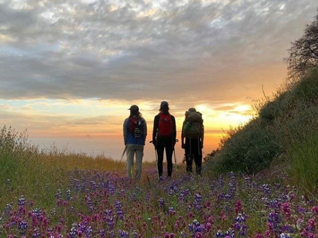My friends and I love watching the sunset. You can catch amazing views on the Bluffs Trail at Andrew Molera State Park. 