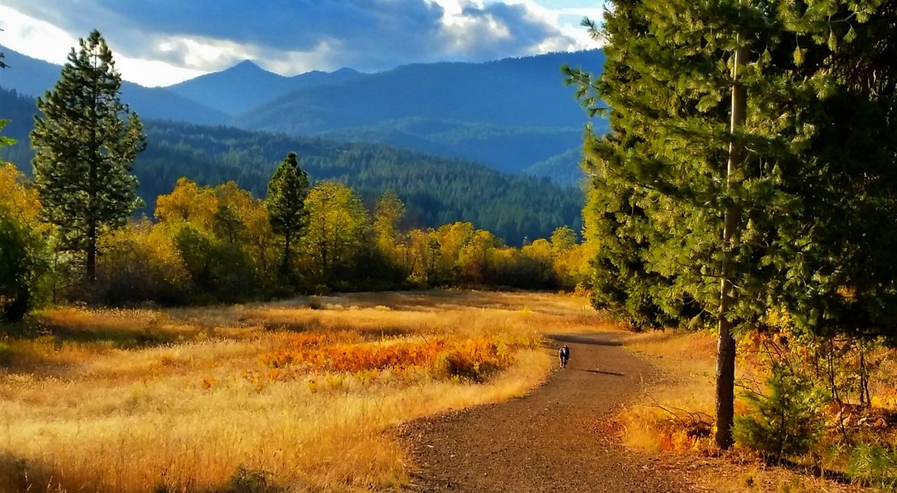 Monte Shasta