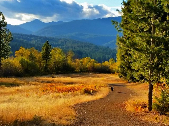 My dog and I love hiking around Mount Shasta. The Lake Siskiyou Trail is a 6.7-mile loop that’s perfect for spring, summer, or fall.