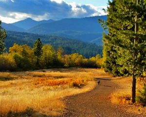 Paisaje montañoso con bosques en cambio de estación
