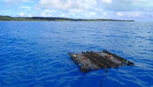 A fish aggregating device floats on the surface of an ocean, with land in the distance.