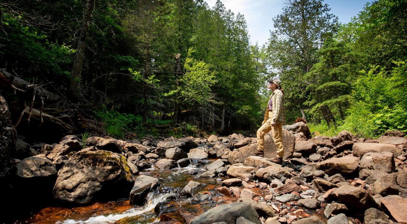 A person stands on the rocky banks of a forest stream.