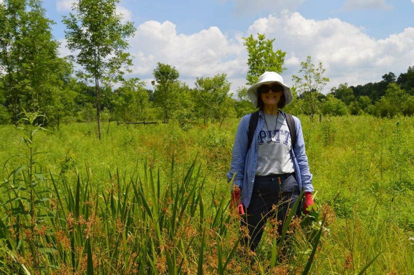 Su Fanok in the field in an open wetland.