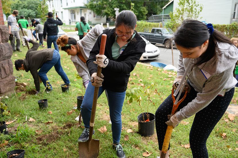 A group of people planting trees. Two women in the foreground use shovels to dig holes for the small potted saplings.
