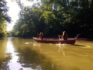 Two people paddle a canoe along a wide creek. Trees line both banks and overhang the water.