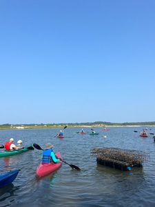Paddlers explore a pond on kayaks.