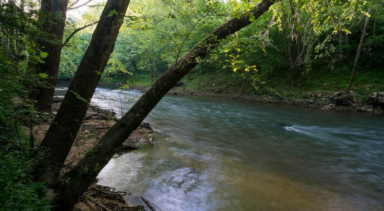 A scenic section of the Paint Rock River, with grass and trees on the bank.