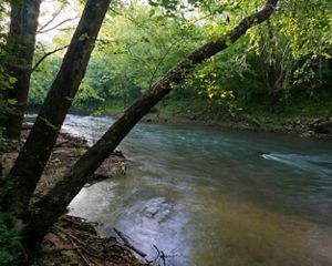 The Paint Rock River flows past grassy banks and trees.