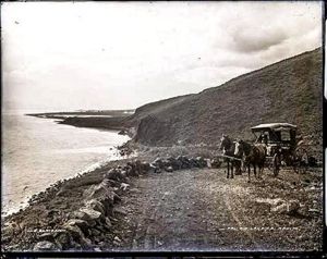 This historical photo taken around the late 1800s faces westwards, showing the old Lahaina Pali Road and Ukumehame Wetlands in the background.  