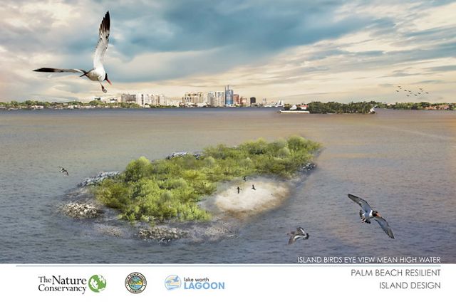 Architectural rendering of Palm Beach Resilient Island at high tide. 