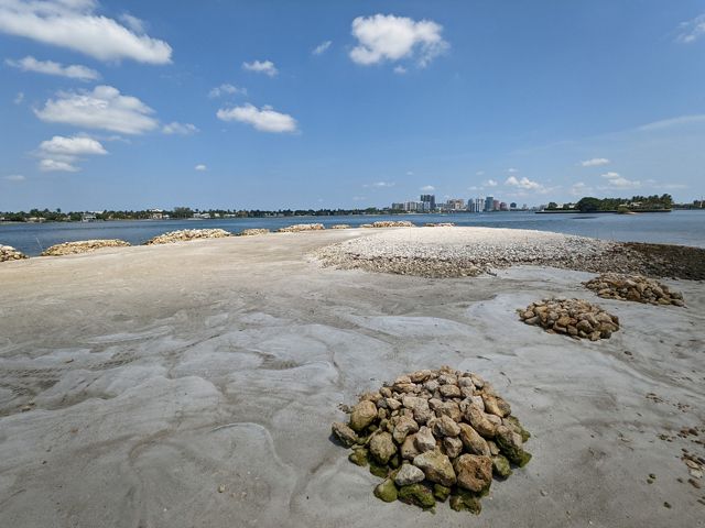Sand and limestone dredged from a lagoon are piled on a sandy island in Florida; city buildings of West Palm Beach are seen in the distance.