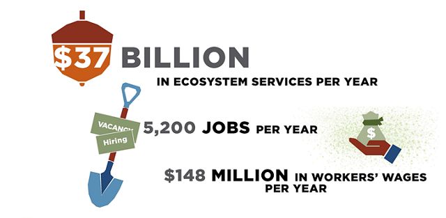Investing in natural climate solutions at scale would generate $37 billion in ecosystem services annually, including creating 5,200 jobs and generating $148 million in wages. 