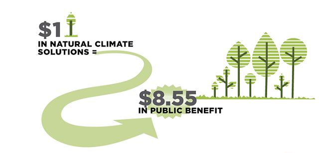For every dollar invested in natural climate solutions, $8 in economic activity is created.