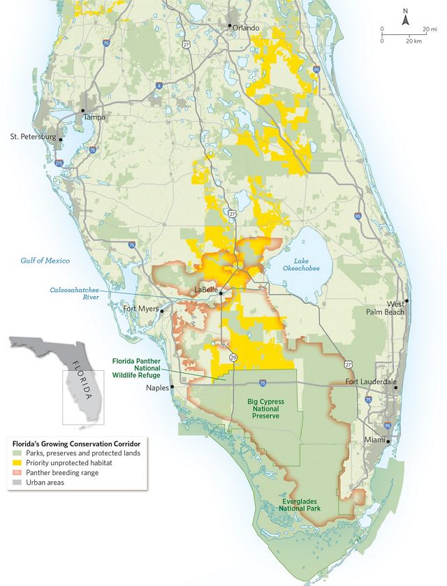 Mapa de Florida con hábitat protegida y no protegida