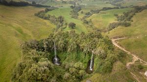 Área de protección del Fondo de Agua Vivo Cuenca, Manizales, Colombia. 