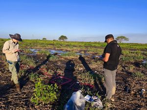 dos hombres con disposivos en las manos monitoriando la germinación de las semillas en parcelas.